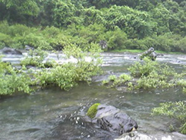 高知県 川釣りポイント 梼原川（四万十川水系）