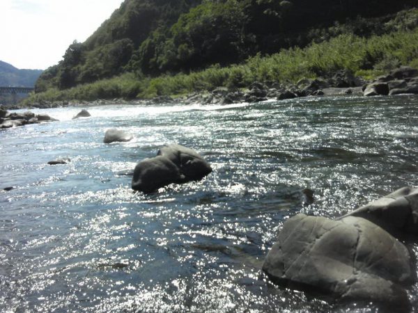 高知県 川釣りポイント 十川地区（四万十川）